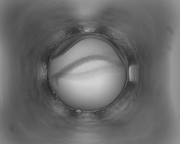 X0000111861443200908061326