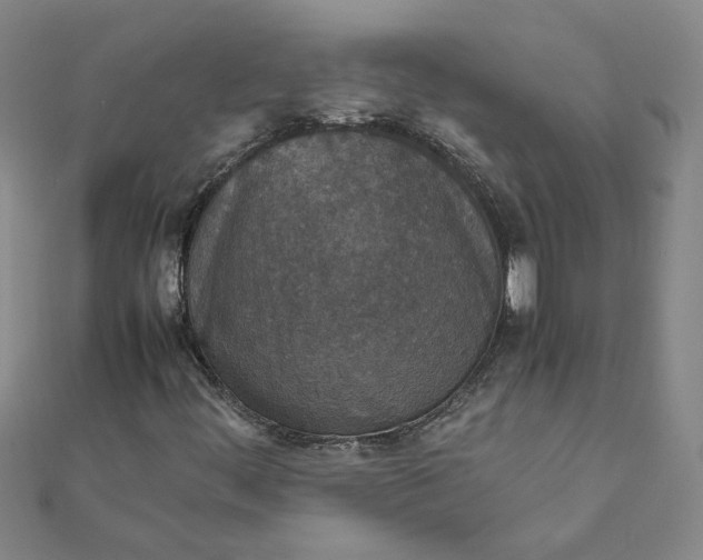 X0000111861444200908061326