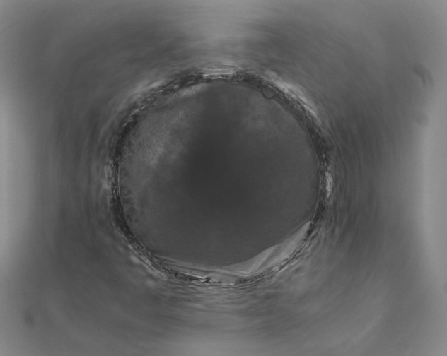 X0000111861445200908061326