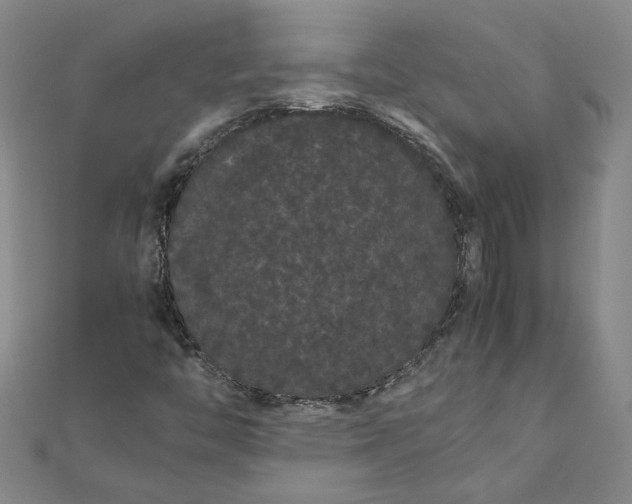 X0000111861446200908061326