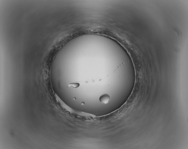 X0000111861447200908061326