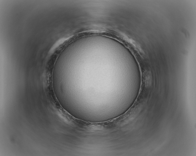 X0000111861448200908061326