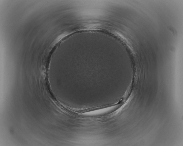 X0000111861449200908061325