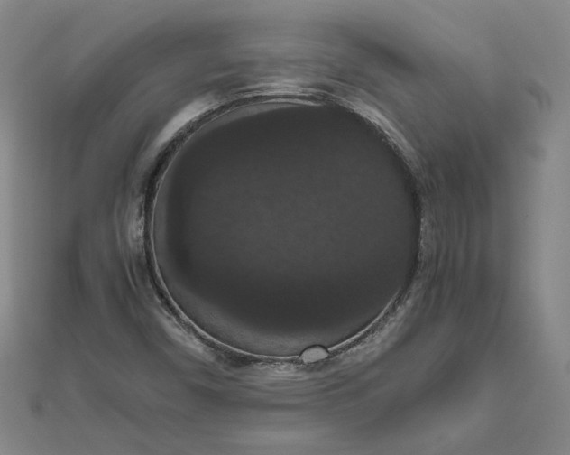 X0000111861450200908061325