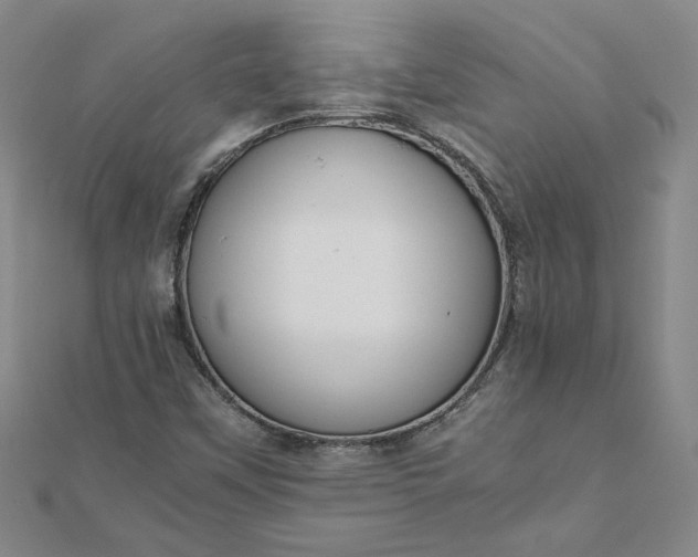 X0000111861451200908061325