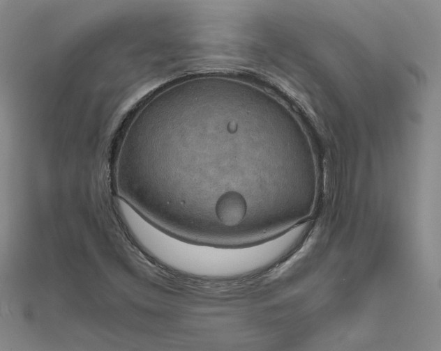 X0000111861453200908061325