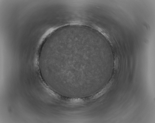 X0000111861454200908061325