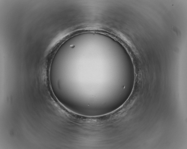 X0000111861456200908061325