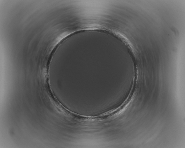 X0000111861457200908061325