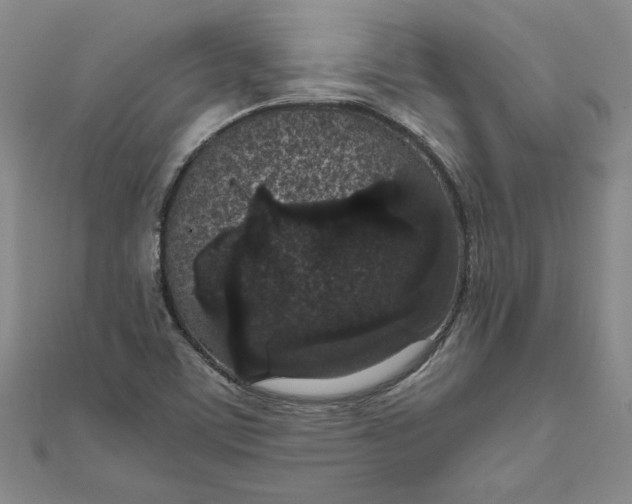 X0000111861459200908061325