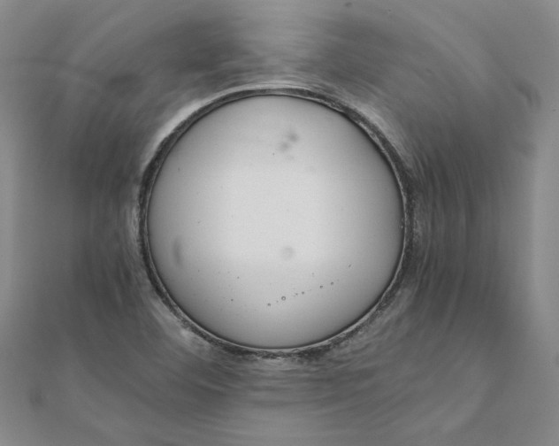 X0000111861460200908061325