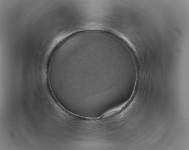 X0000111861461200908061325