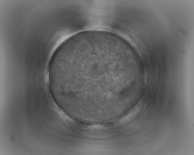 X0000111861462200908061325