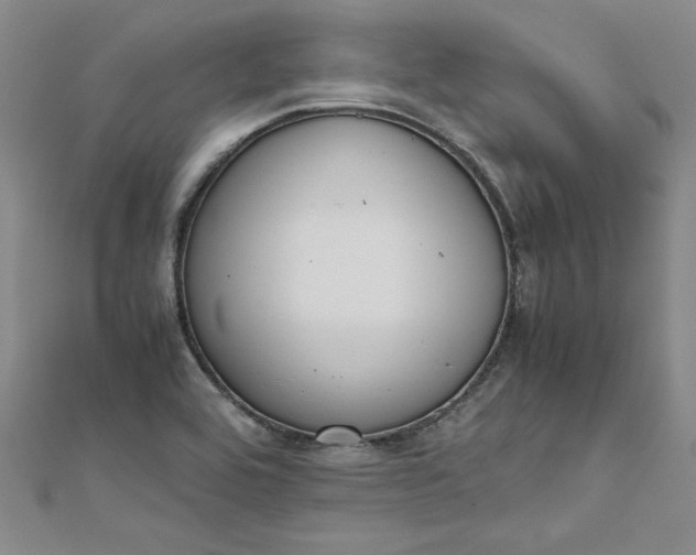 X0000111861464200908061325