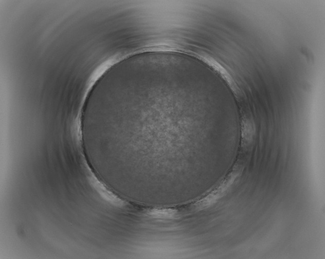 X0000111861466200908061325