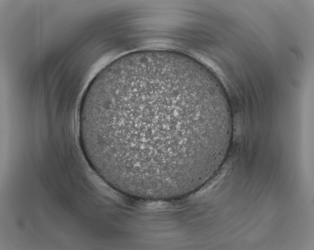 X0000111861467200908061325