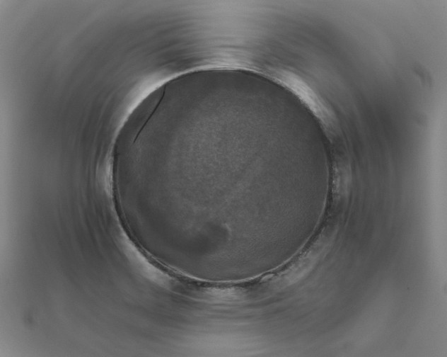 X0000111861468200908061325