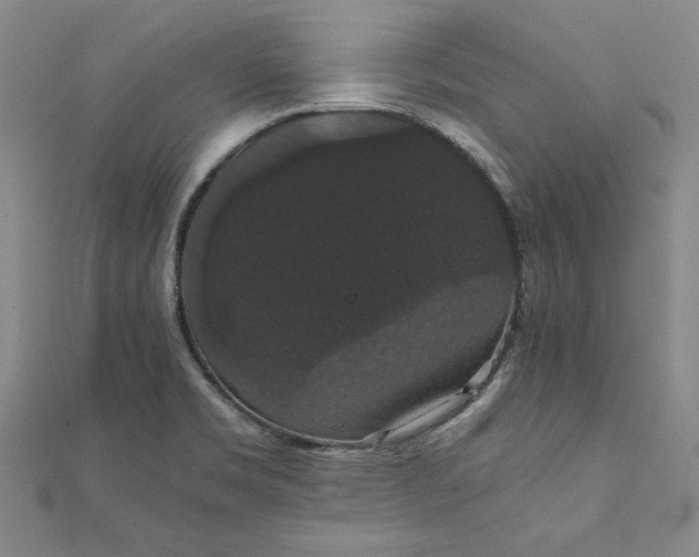 X0000111861469200908061325