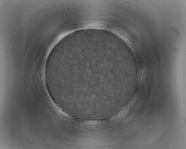 X0000111861470200908061325