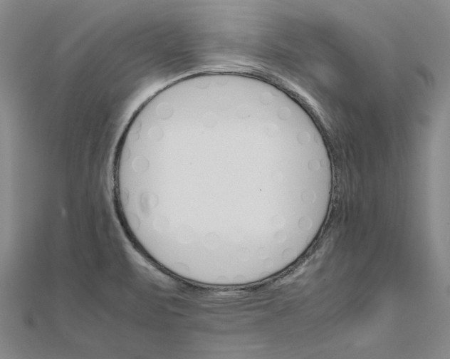 X0000111861471200908061325