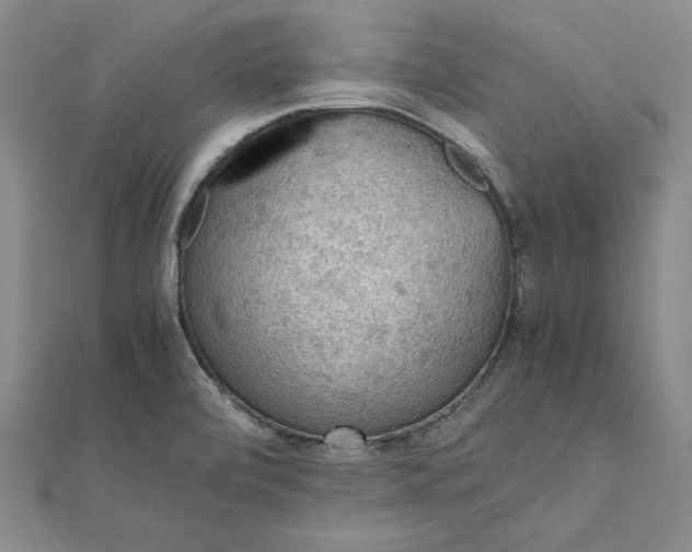 X0000111861472200908061325