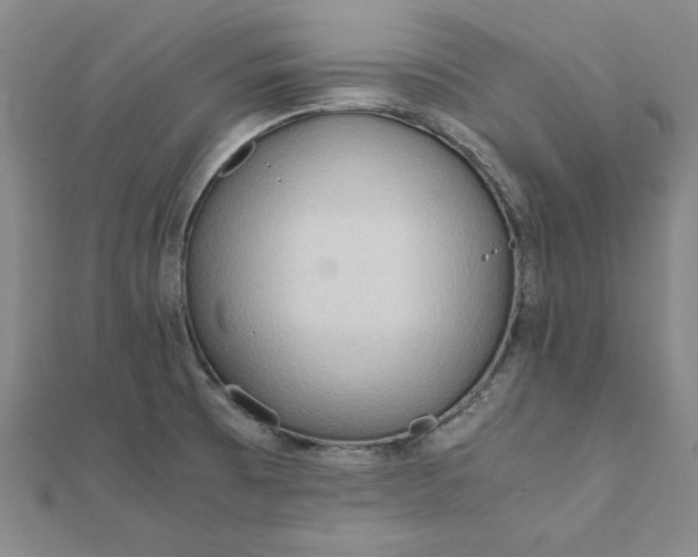 X0000111861473200908061325