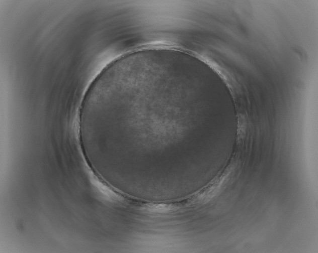 X0000111861474200908061325