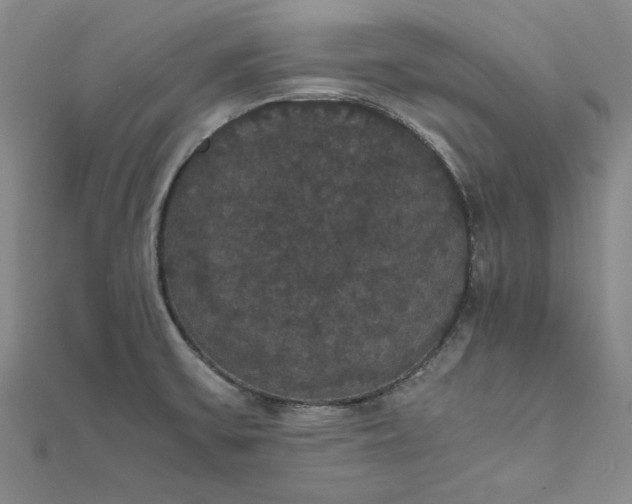 X0000111861475200908061325