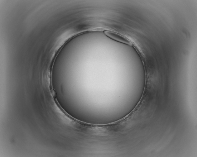 X0000111861476200908061325