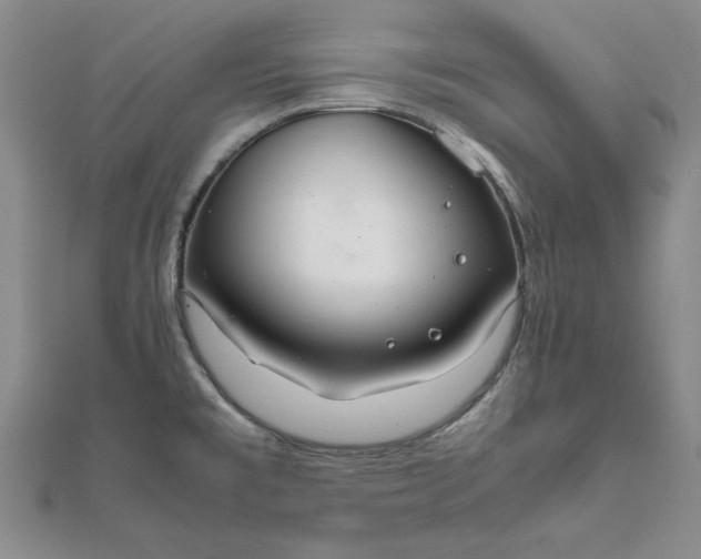 X0000111861477200908061325