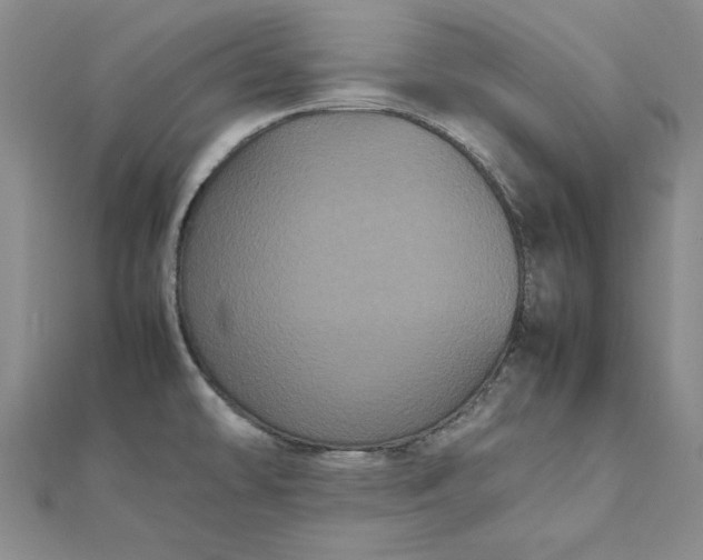 X0000111861478200908061325