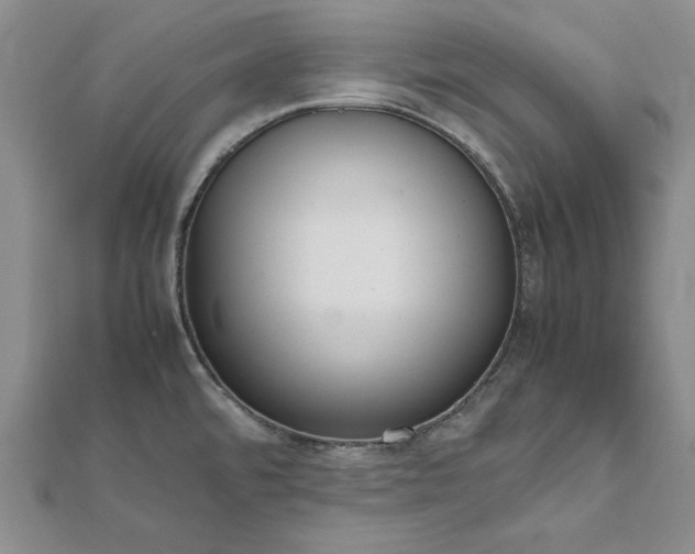 X0000111861480200908061325