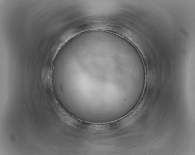 X0000111861481200908061325