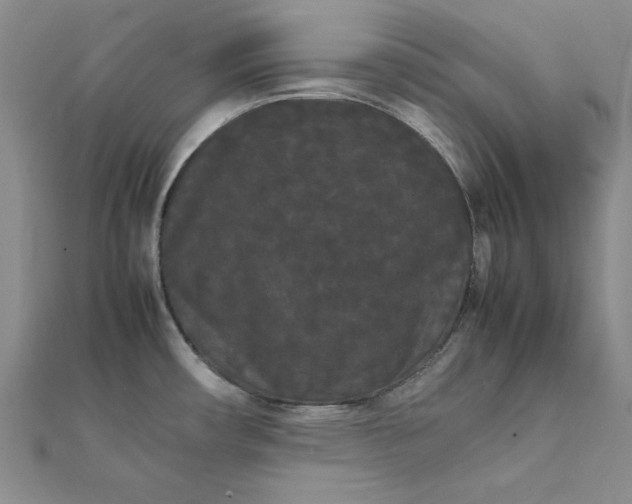 X0000111861482200908061325