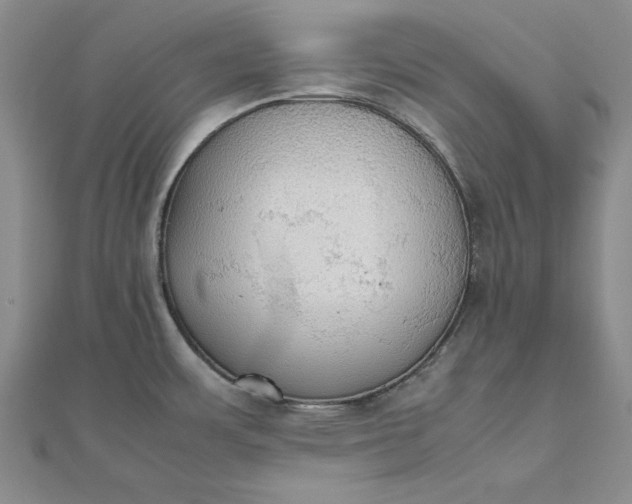 X0000111861483200908061325