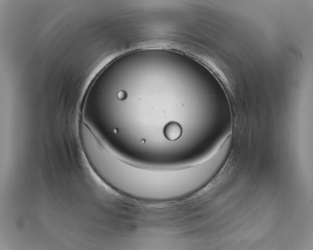 X0000111861484200908061325