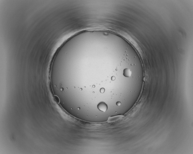 X0000111861485200908061325