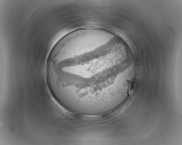 X0000111861487200908061325