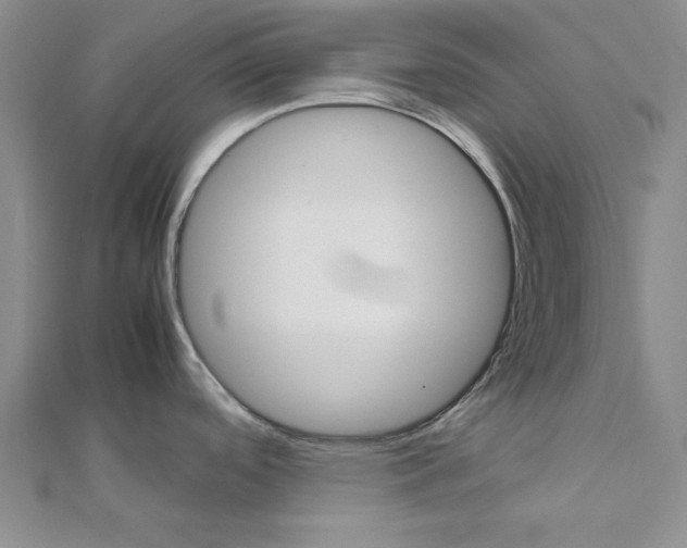 X0000111861488200908061325