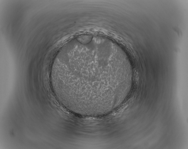 X0000111861489200908061324