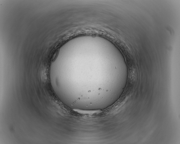 X0000111861490200908061324