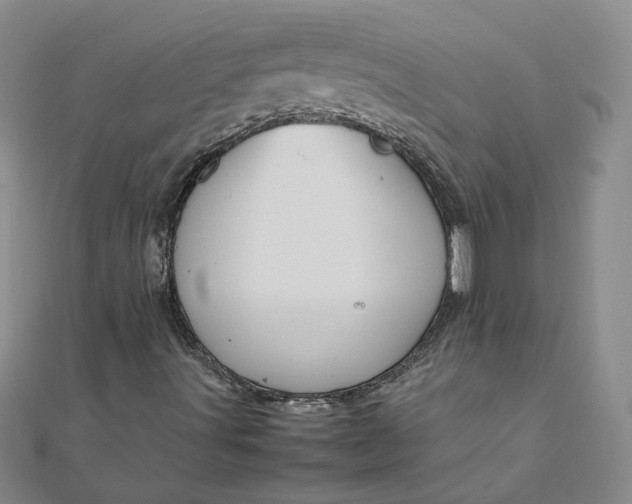 X0000111861491200908061324