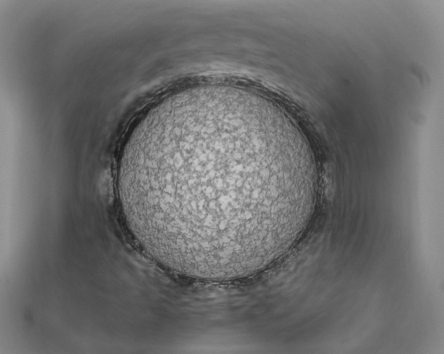 X0000111861493200908061324