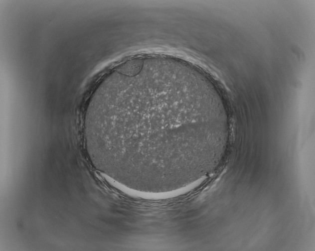 X0000111861494200908061324