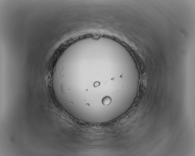 X0000111861495200908061324