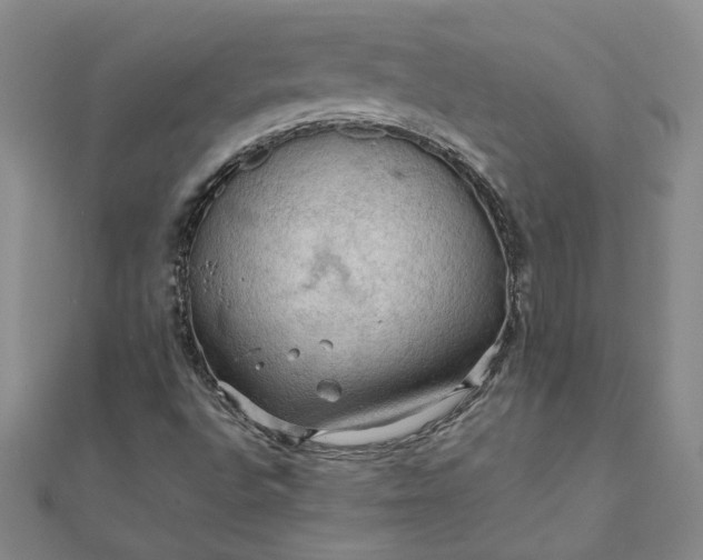 X0000111861496200908061324