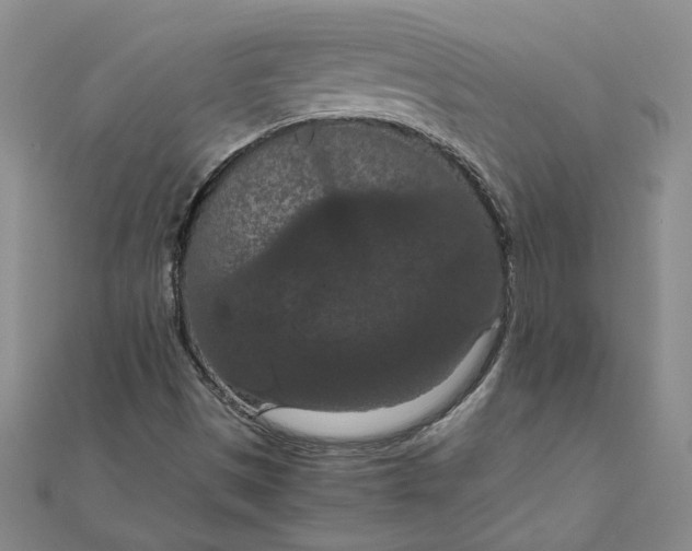 X0000111861497200908061324