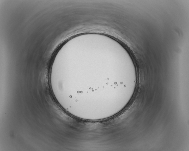 X0000111861498200908061324