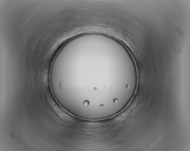 X0000111861499200908061324