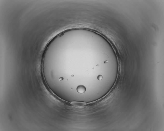 X0000111861500200908061324